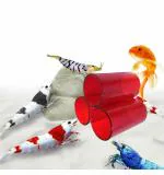 Vayinato Multi Color Aquarium Fish Tank Colour Transparent Hiding Tube (Pack Of 3)