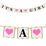Zyozique It’s A Girl Banner for Girl Baby Shower - Baby Shower Decorations,Its A Girl Banner,Best Girl Birthday Party Supplies (Pack of 1)
