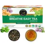TEACURRY Anti Smoking Tea (1 Month Pack | 30 Tea Bags) - Breathe Easy Tea to quit Smoking and Lung Detox Tea - Lung Cleanse Tea