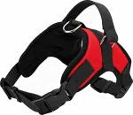Hundur Store Dog belt Padded Hundur Store Dog harness Adjustable Neck Strip & Chest Strip Hundur Store Dog harness for extra large dog (red)