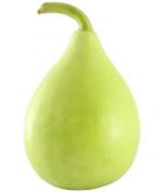 PARYAVARAAN Vegetable Seeds | Bottle Gourd Round Seeds | Bottle Gourd Round Vegetable Seeds | Round Bottle Gourd Seeds Hybrid F1 For Home Gardening pack of 10 seeds pack of 2 packet