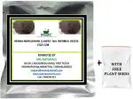 MGBN THE PATH FOR THE HEALTHIER LIFE WITH BEAUTY Henna - Marudhani Seeds - 250 g ((with Free Plant Seeds)
