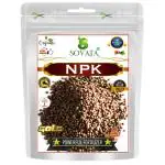 SOVATA NPK Nitrogen Powder Potassium Phosphorus, Powerful Organic Fertilizer for Overall Healthy Growth of Plants. (200 gm)