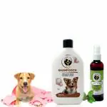 Fur Ball Story Grooming Combo | Shampooch Healthy Skin and Shiny Coat Dog Shampoo 300ml & Tick Free Repelling Ayurvedic Spray for Dogs and Cats 100ml | for Dogs/Puppies Shiny and Clean Coat