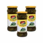 ENTREE Jalapeno Slices Small Jar (Pack of 3) (370ml)
