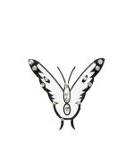 Comet Busters Black Butterfly Temporary Body Tattoo For Women