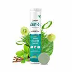 Geofit Whole Greens Effervescent Tablets (15 Tabs.) | Wholefood Multivitamins Vitamin C, B6, B12, Greens & Veggies | Superfood drink for Weight management, Body Detox & Reverse Ageing| No Added Sugar