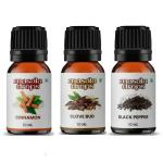 Masala Drops Cinnamon, Clove and Black Pepper Drops 10ml (Pack of 3)