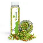 Vrunda's Green Mukhwas Deluxe Mouth Freshener Indian Mouthfreshner Natural Badishep Healthy Fennel Seeds Roasted Saunf Digestive Aniseed Mix Variyali 200 gm