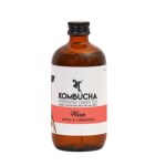 Bhu Living Kombucha Fermented Green Tea - Warm: Apple & Cinnamon 250ml (Pack of 1)