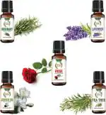 botanic garden Rose,Rosemary,Lavender,Jasmine sambac,tea tree essential oil-10ml each (50 ml)