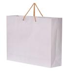 PPJ - PAPER CARRY BAG, 16 Inch X 4 Inch X 12 Inch (Large) for DIWALI/FUNCTION/BIRTHDAY/RETURN GIFTS (WHITE PLAIN) (Pack of 10) HORIZONTAL