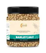 ORGANIC NATURE Raw Barley Seeds (Jau) Barley Grain 250 Grams | Jar Pack|