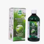 33 HERBALS Bermuda Grass Juice ( Arugampul Juice) 500 ML