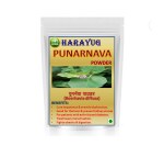 HARAYUG PUNARNAVA ROOTS POWDER - SATHI JADD POWDER - BOERHAVIA DIFFUSA 400 GM