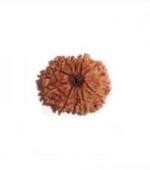 Feeltouchmart Brown Wood 11 Mukhi Superfine Nepal Rudraksha Beads Hgj00-1001-2519