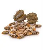 Sky Life Castor Seed - 200 gm