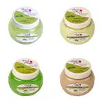 Pink Plums Green Tea Facial Kit With Gel Scrub, Massage Cream, Face Gel, Face Pack, 250 Ml (Set Of 4)