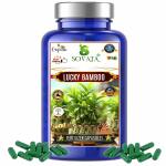 Sovata Lucky Bamboo Fertilizer Capsules (51 no's), Slow Release Organic Fertilizer (90 Days) for Overall Healthy Growth of Lucky Bamboo Plants.