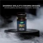 JAMNA SHILAJIT GOLD CAPSULE (30CAP)