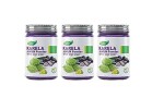Generic Lion Karela Jamum Powder 100 Gm (Pack of 3), Purple