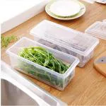 Inditradition Plastic Food Storage Container Set with Drain Mesh, Set of 2, Transparent