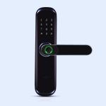 GOLENS X3 Smart DigitalDoorLock Unlock Wifi App,Fingerprint,PIN,OTP,RFID Card KeyAccess Smart Door Lock ()