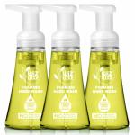 WiZ Luxe Mango Malta Foaming Hand Wash - 300ml Pack of 3, Paraben & Sulphate Free, Ultra Rich Foam, Aromatic Refreshing Fragrance, Moisturizing Handwash, Soft & Gentle Hands