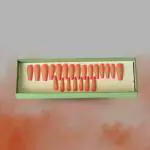 Nishi Light Pink Nude Perfection Timeless Elegance with Artificial Matte Nails