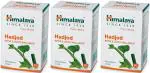 Himalaya Wellness Pure Herbs Hadjod Bone & Joint Wellness Ayurvedic Medicine (3 Packs, 60 Tabs Each)