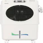 BLUECHIP High-Performance Air Cooler for Indian Summer