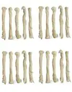 HARDIK SALES AGENCY Cotton Holy Sacred Thread Janoi Janau Janeu Yagnopaveeth for Pooja (White, 20 Pieces)