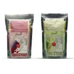 Shree Saatvik Rose Falooda & Badam Pista Falooda | Indian Traditional Dessert Pre Mix | Faluda (Pack Of 2)