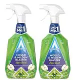 Astonish Mould And Mildew Remover, 750 Ml (Pack Of 2)