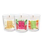 KELYN Scented Candles Vanilla, Rose Berry, Musk Melon Decoration Candles (Pack of 3)