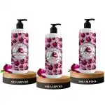 B&B Bliss & Blush Onion Shampoo With Red Onion, Black Seed Oil & Pro-Vitamin B5 (Pack Of 3, Each Of 200Ml)