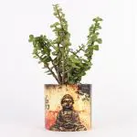 Ferns N Petals Jade Plant In Buddha Metal Pot 4X4.5 inch
