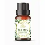 24 Hours Organic Tea Tree Essential Oil Treat For Antibacterial | Acne | o treat acne, Athlete's Foot | Nail Fungus | Insect Bites | Reomve Dark Circles | Healthy Skin - 10 ML