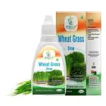 HERBAL YUG Pure Herbal and Ayurveda Wheat Grass for Body and Builds a Strong Immune System Natural Drop Pack Of 2
