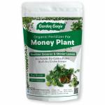 Garden Genie Money Plant Essential Organic Fertilizer, Heathier Greener and Shinier leaves for Indoor and Outdoor Gardening, Plant Growth Booster (450 Gram)