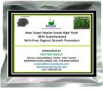 Mgbn The Path For The Healthier Life With Beauty New Super Napier Seeds High Yield 90 Percent Germination With Organic Growth Promoters, 50 Gm, 12500 Seeds