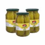 ENTREE Ready to Use Sandwich Slices Bottles, Gherkin Chips 480gms (Pack of 3)