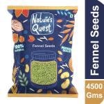 Nature's Quest Fennel Seeds 4500 Gms | Saunf | Variyali | Sauf