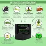 Any Ways Activated Charcoal & Vitamin E Handmade Bathing Soap For For Skin Whitening, Tan Removal, Treat Oily Skin And Deep Cleansing Combo Pack Of 9 (9X100Gm) | Chemical Free Soap