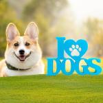 3D MATRIX I Love Dogs Showpiece | Ideal for Living Room, Bedroom or Shelf