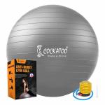 Cockatoo AntiBurst Exercise Ball 65 CM