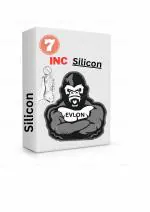 EVLON silicon 6 inc condom