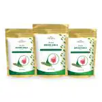 Vedikroots Bhumi Amla Powder/Churn For Healthy Liver Functioning & Digestion 100Gm (Pack of 3)