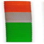 ISHAN SPORTS CRICKET BAT TIRANGA GRIP
