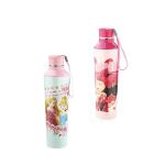 Jayco Mini Mouse and Disney Princess Round Plastic Water Bottle (pack of 2)
